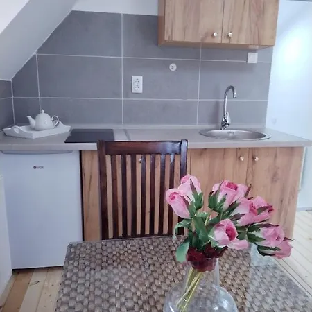 Apartman Gala Kopaonik